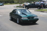 Mustang